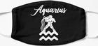 Zodiac Sign Aquarius
