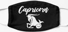Zodiac Sign Capricorn
