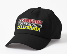 Stanford House Divided California