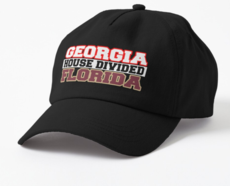 Georgia House Divided Florida