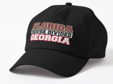 Florida House Divided Georgia